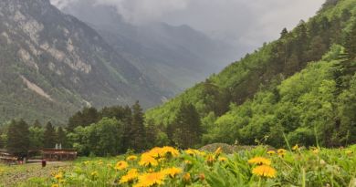 Гуамское ущелье + термальные источники.